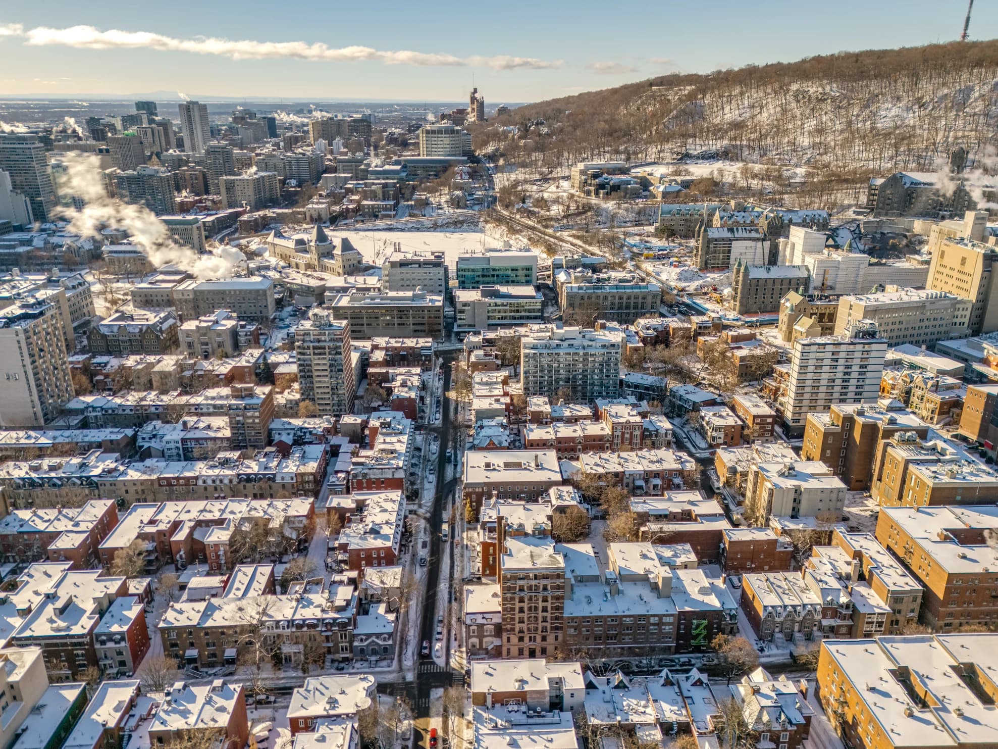 Aerial view of Montréal and Mount Royal in winter